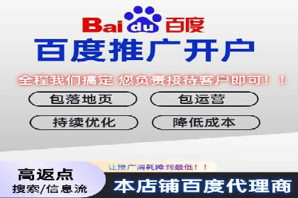 百度推广在汽车行业的营销案例